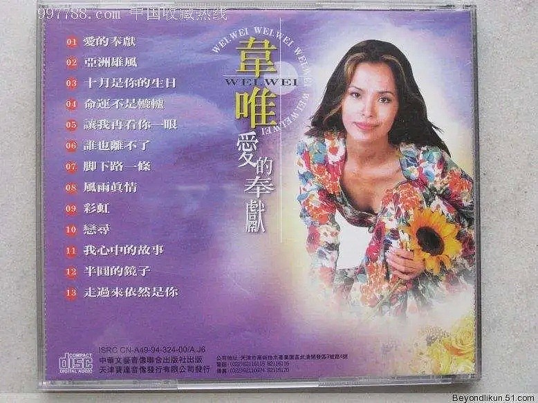 华裔歌手嫁给比自己大25岁的老外，惨遭家暴！独自带娃10年，现如今终于熬出了头（组图） - 12