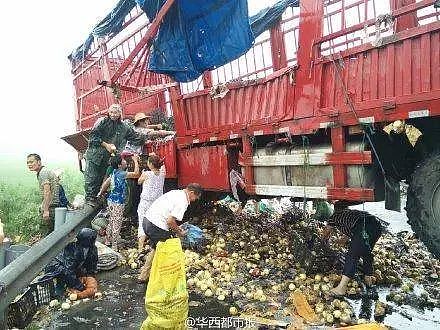 10吨猪肉翻车遭哄抢：我看到了人性的分水岭（组图） - 4