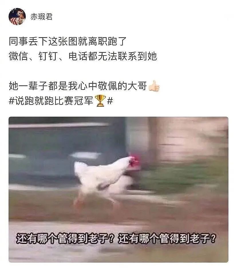 【爆笑】“阿姨你好，我不想再努力了...”聊天截图流出后，哈哈哈画面太野了（组图） - 39