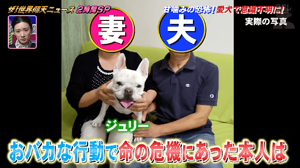 日本一大叔因为对爱犬这个“癖好”，在ICU住了半年，险些命丧黄泉！铲屎官必看（组图） - 20