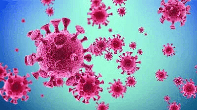 美国洋葱中惊现沙门氏菌，已有43州上千人感染，日本新冠病毒离奇变异（组图） - 12