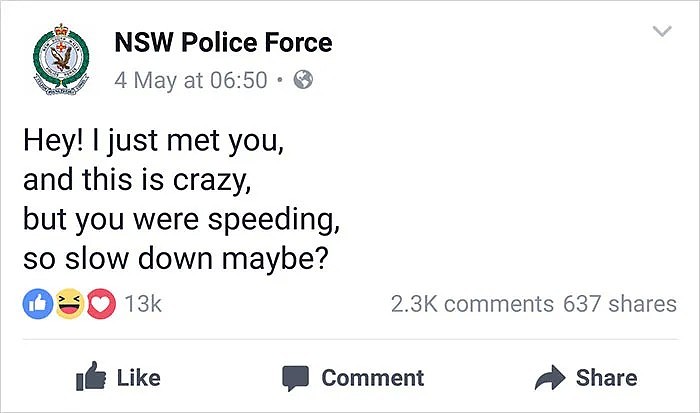 逗！NSW Police简直开启了我的快乐开关（图） - 8