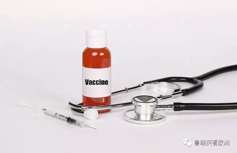 对俄罗斯疫苗将信将疑，对印度疫苗无言以对，只做动物测试就上市了！（组图） - 6