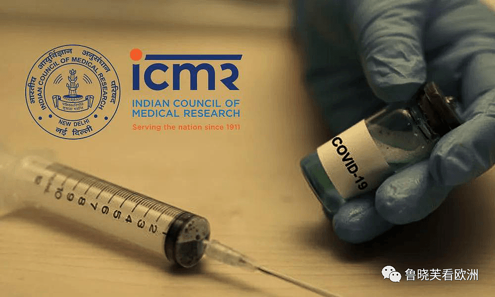 对俄罗斯疫苗将信将疑，对印度疫苗无言以对，只做动物测试就上市了！（组图） - 7