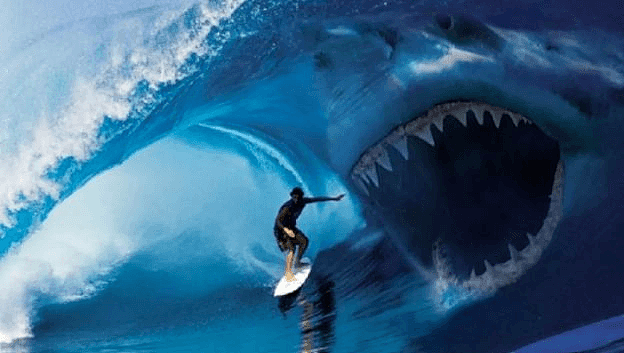 澳州一海滩发生大白鲨袭击人事件！“已是本月第三起”，受伤女子情况不乐观··· - 3
