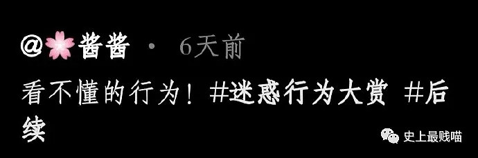 【爆笑】“这又是什么神奇的相亲神操作啊？” 哈哈哈哈哈思路很清晰没毛病！（视频/组图） - 2