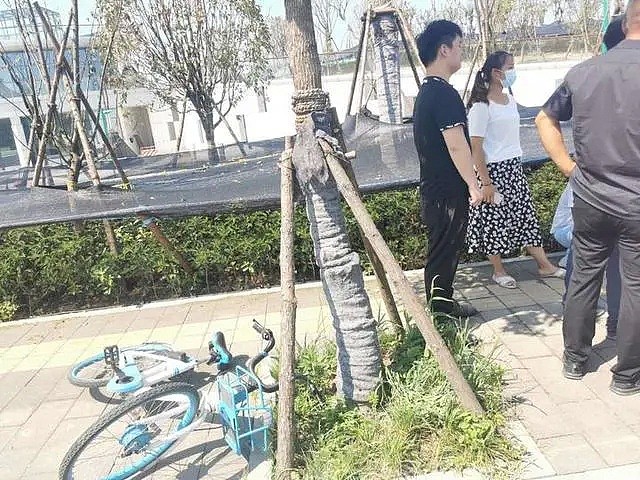 飞来横祸！中国24岁姑娘骑电动车惨遭“割喉”，罪魁祸首万万没想到是这个（视频/组图） - 6