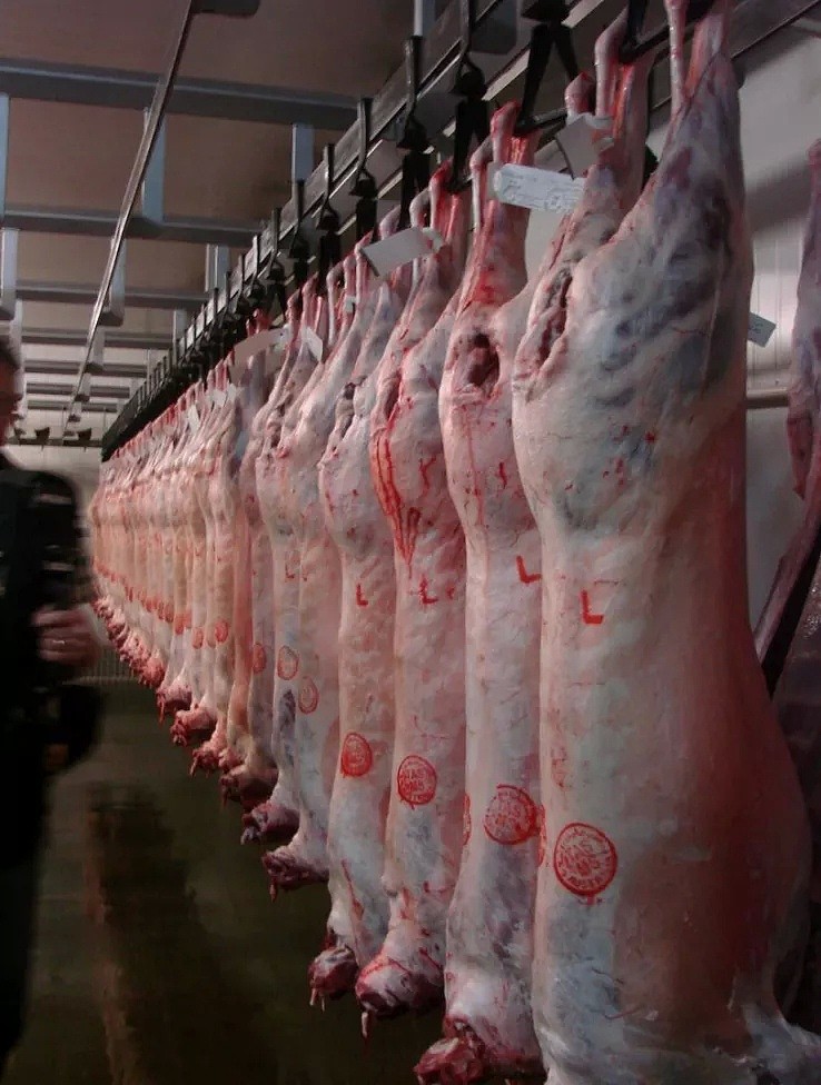 在澳洲超市买肉，有这种黄绿色不明组织的千万别买！还喷脓液，这些牛肉还含有致癌物质 - 21
