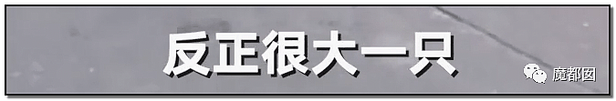 另有隐情？全网悲愤！88岁老人莫名被狗绳绊飞腾空狠摔惨死（视频/组图） - 22