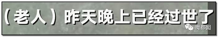 另有隐情？全网悲愤！88岁老人莫名被狗绳绊飞腾空狠摔惨死（视频/组图） - 24