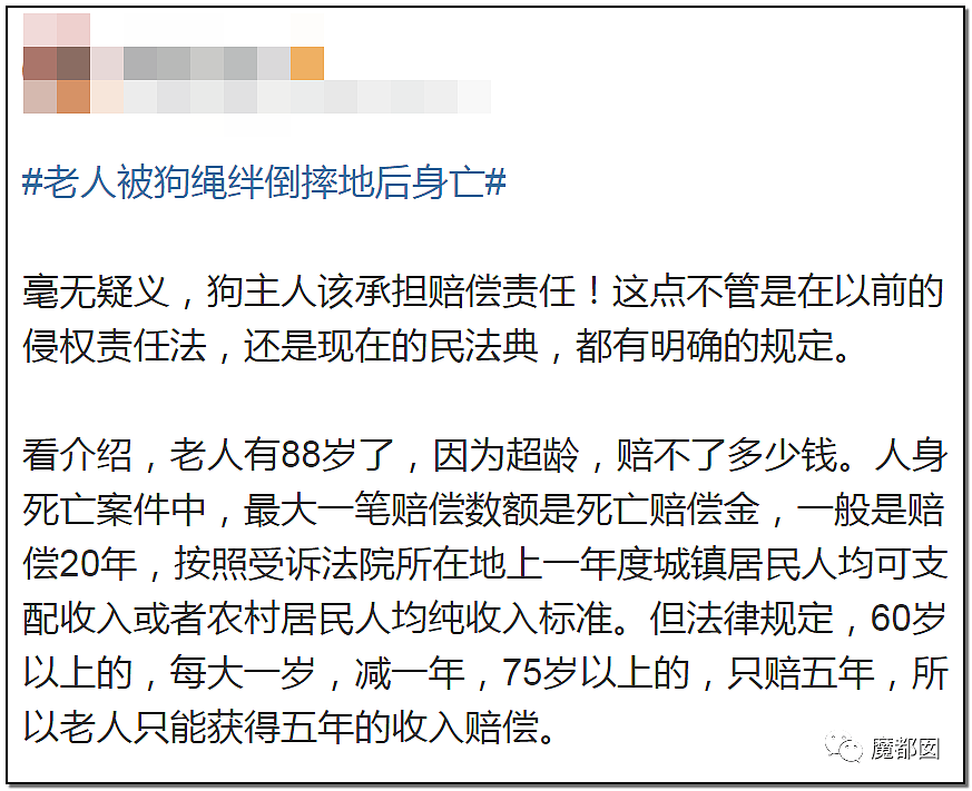 另有隐情？全网悲愤！88岁老人莫名被狗绳绊飞腾空狠摔惨死（视频/组图） - 58