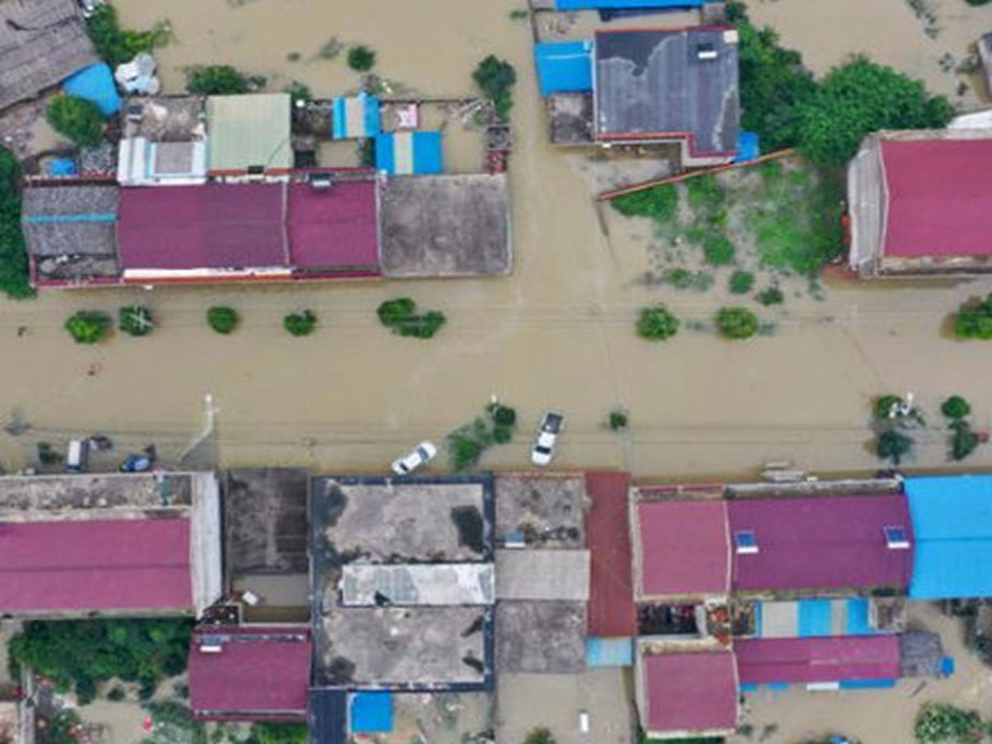 安徽固镇镇已被泡在水里。（微博@独行骑士·Lwf）