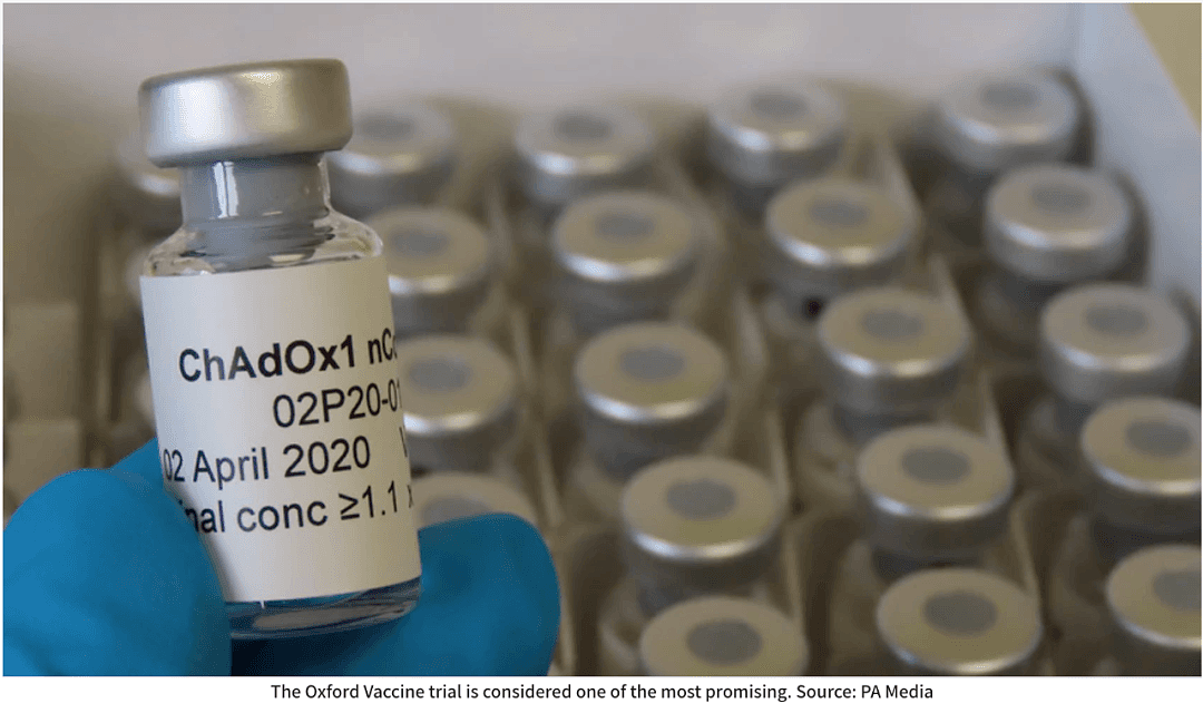 全球都在猛攻疫苗，澳洲专家却齐聚维州研究羊驼，称抗体可中和新冠病毒…（图） - 2