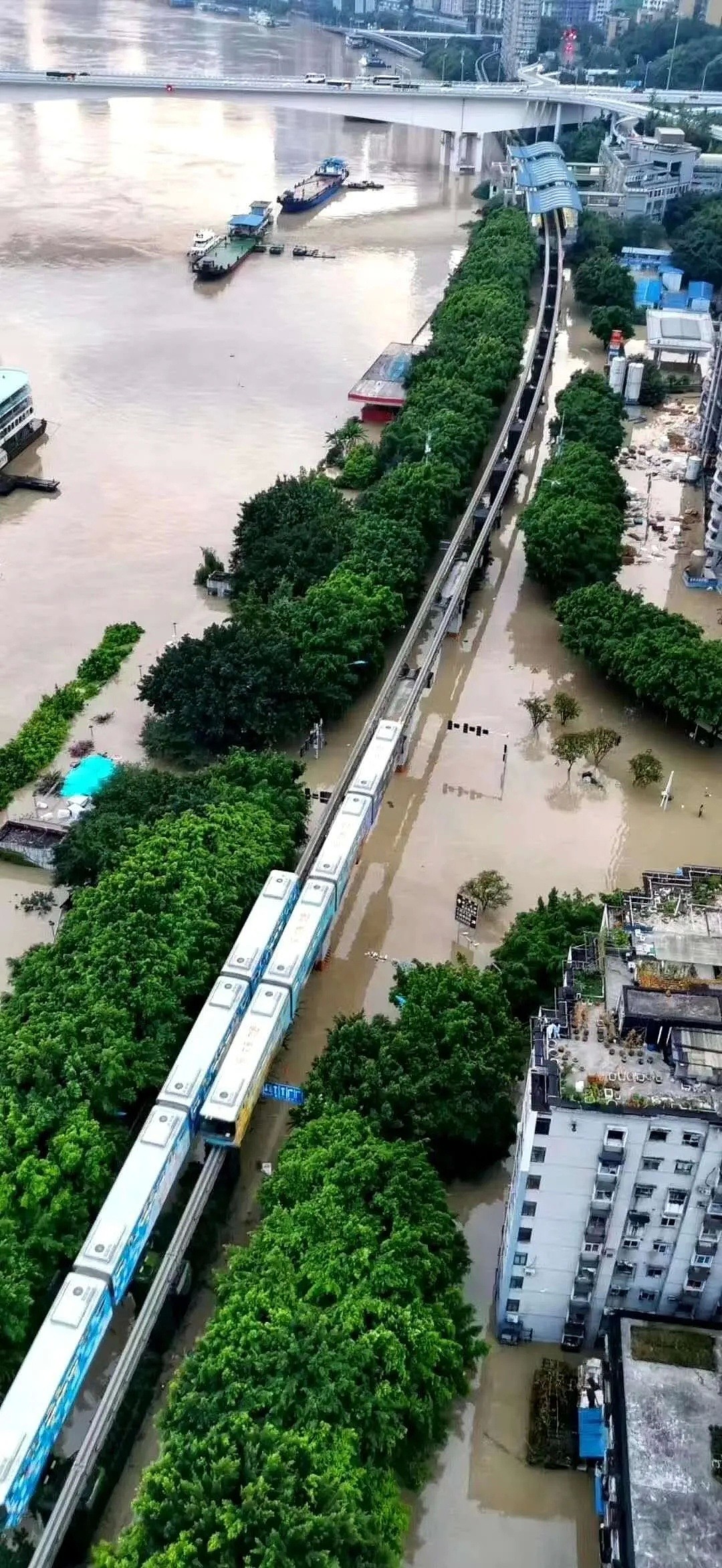 紧急！三峡迎建库以来最大洪峰，重庆多地被淹，面临洪水威胁形势非常严峻（视频/组图） - 10