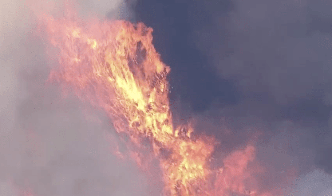 加州山火一夜烧掉1个“洛杉矶”，加州大学强制师生撤离：否则判刑（组图） - 9