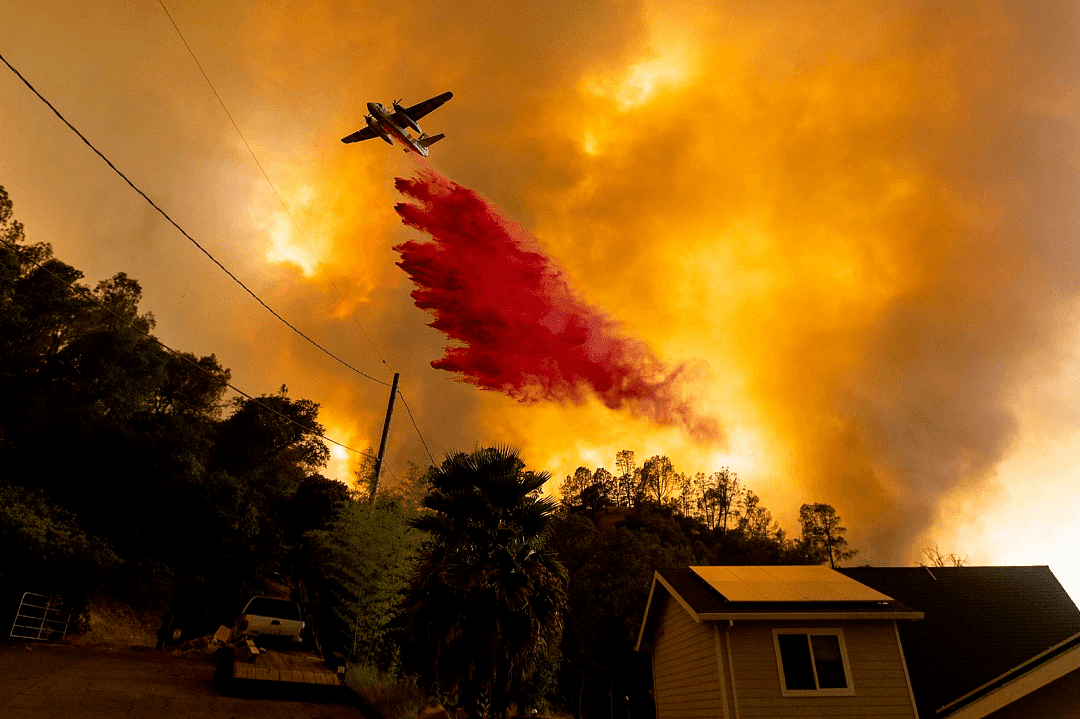 加州山火一夜烧掉1个“洛杉矶”，加州大学强制师生撤离：否则判刑（组图） - 11