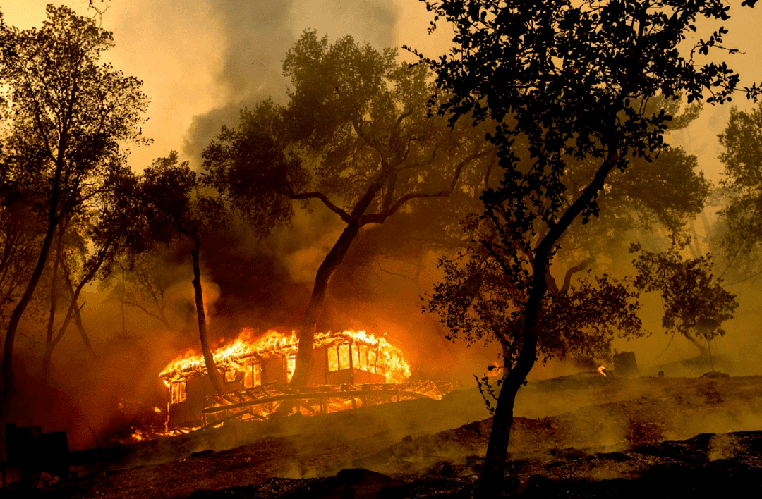 加州山火一夜烧掉1个“洛杉矶”，加州大学强制师生撤离：否则判刑（组图） - 16