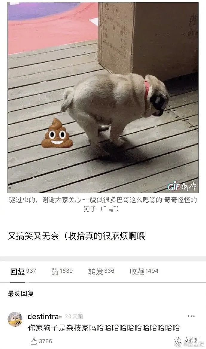 【爆笑】“彭于晏风评被害？？”网友：“求求你们别再用他的照片网恋了！”（组图） - 44