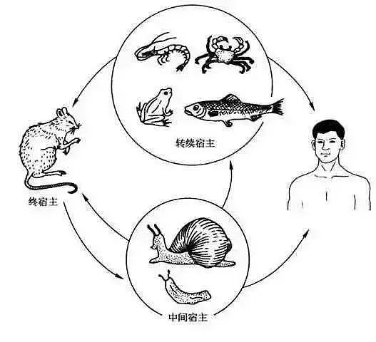 可怕！中国26岁小伙脑中布满虫子，大小便失禁…只因平常喜欢喝这种水（组图） - 8