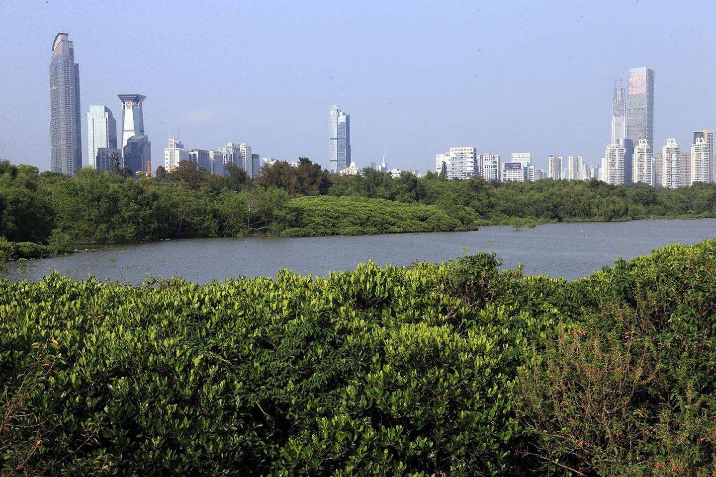 40年来，深圳已从一个小渔村发展成为现代化的都市。（新华社）