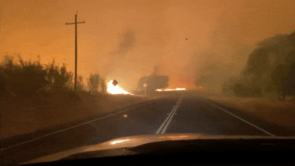 美国陷入史上最大规模山火灾害中，17万人撤离！加州州长向澳洲求助（组图） - 15