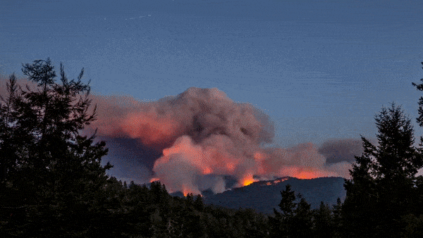 美国陷入史上最大规模山火灾害中，17万人撤离！加州州长向澳洲求助（组图） - 16