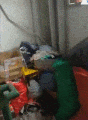 4天9卡车1000袋！上海一对母子在家堆积垃圾，竟然是为了…（视频/组图） - 3