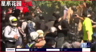 武斗开始！波特兰左派和右派民众当街聚众械斗，辣椒水漫天飞舞…（视频/组图） - 6