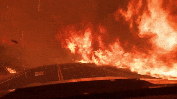 加州大火烧掉近4个“洛杉矶”！17万人撤离，华人打包行李准备逃离（组图） - 1