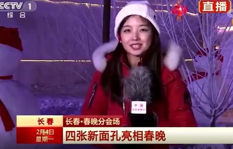 最美央视女记者？成为国民“梦中情人”的90后嫩妹！颇有奶茶妹妹的神韵（组图） - 16