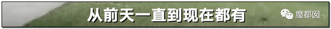 深圳小区疯狂毒死10只狗！有人嚎啕大哭，有人却拍手叫好？（组图） - 33