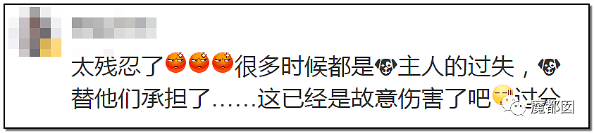 深圳小区疯狂毒死10只狗！有人嚎啕大哭，有人却拍手叫好？（组图） - 46