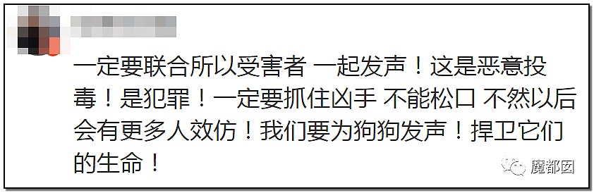 深圳小区疯狂毒死10只狗！有人嚎啕大哭，有人却拍手叫好？（组图） - 50