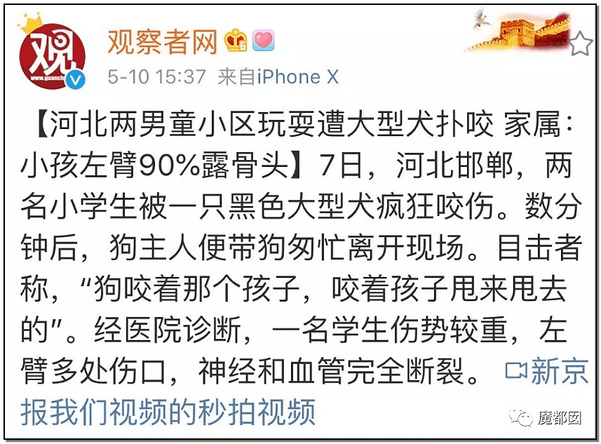 深圳小区疯狂毒死10只狗！有人嚎啕大哭，有人却拍手叫好？（组图） - 76