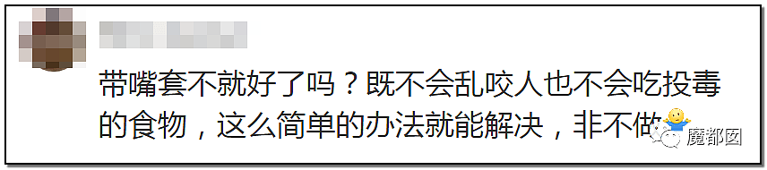 深圳小区疯狂毒死10只狗！有人嚎啕大哭，有人却拍手叫好？（组图） - 77