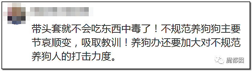 深圳小区疯狂毒死10只狗！有人嚎啕大哭，有人却拍手叫好？（组图） - 78