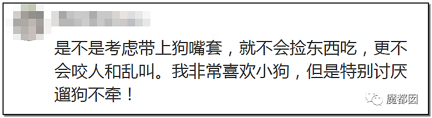 深圳小区疯狂毒死10只狗！有人嚎啕大哭，有人却拍手叫好？（组图） - 79