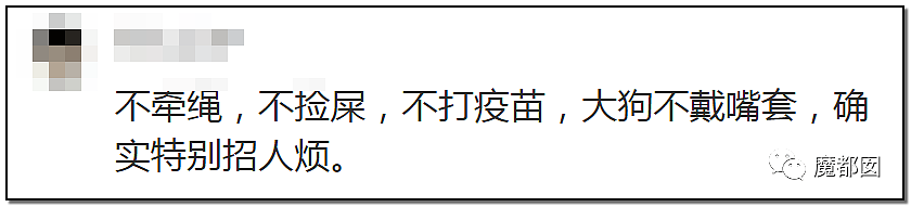 深圳小区疯狂毒死10只狗！有人嚎啕大哭，有人却拍手叫好？（组图） - 80