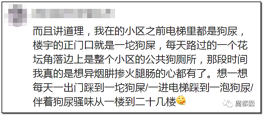 深圳小区疯狂毒死10只狗！有人嚎啕大哭，有人却拍手叫好？（组图） - 83