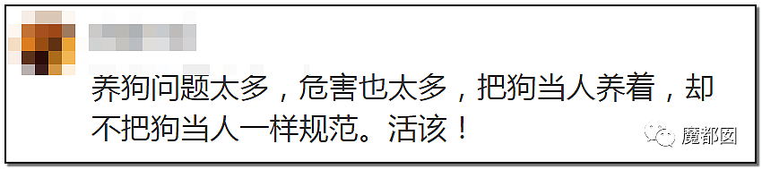 深圳小区疯狂毒死10只狗！有人嚎啕大哭，有人却拍手叫好？（组图） - 84