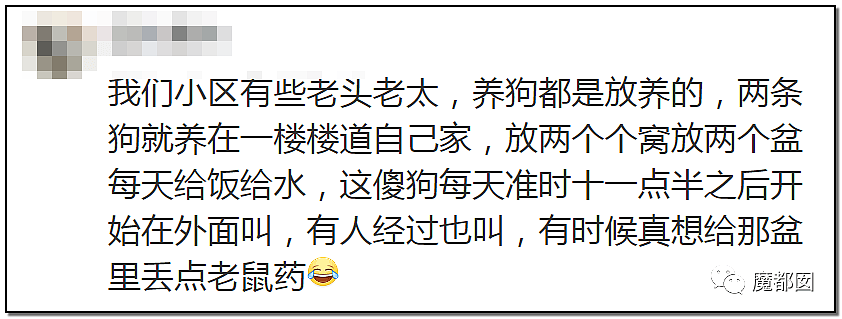 深圳小区疯狂毒死10只狗！有人嚎啕大哭，有人却拍手叫好？（组图） - 85