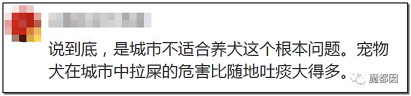 深圳小区疯狂毒死10只狗！有人嚎啕大哭，有人却拍手叫好？（组图） - 89