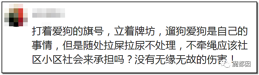 深圳小区疯狂毒死10只狗！有人嚎啕大哭，有人却拍手叫好？（组图） - 91