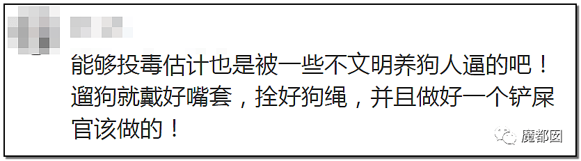 深圳小区疯狂毒死10只狗！有人嚎啕大哭，有人却拍手叫好？（组图） - 92