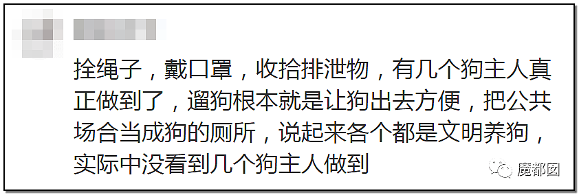 深圳小区疯狂毒死10只狗！有人嚎啕大哭，有人却拍手叫好？（组图） - 93