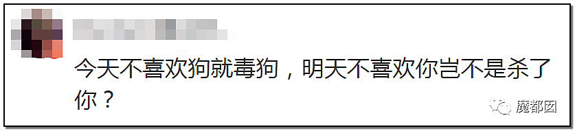 深圳小区疯狂毒死10只狗！有人嚎啕大哭，有人却拍手叫好？（组图） - 96