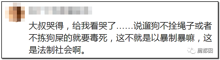 深圳小区疯狂毒死10只狗！有人嚎啕大哭，有人却拍手叫好？（组图） - 97