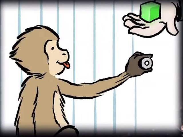 耶鲁大学实验：让一些猴子富起来， 结果猴子嫖娼了（组图） - 4