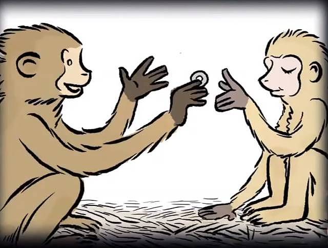 耶鲁大学实验：让一些猴子富起来， 结果猴子嫖娼了（组图） - 7