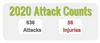 全澳636人被攻击，56人受伤！澳媒：今年情况特殊，喜鹊伤人几率大大提升，出门务必注意安全（组图） - 16